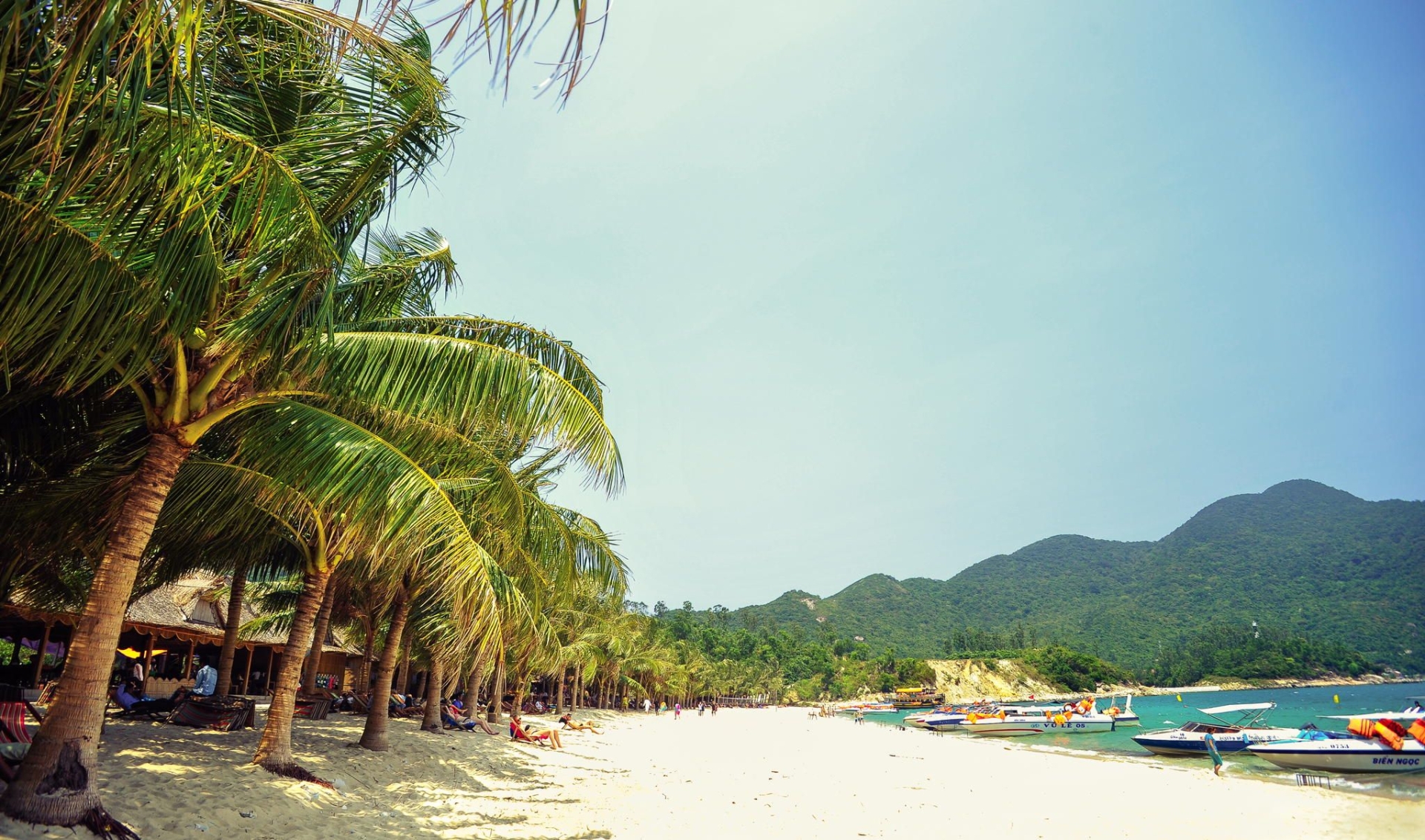 Cham Island Snorkeling