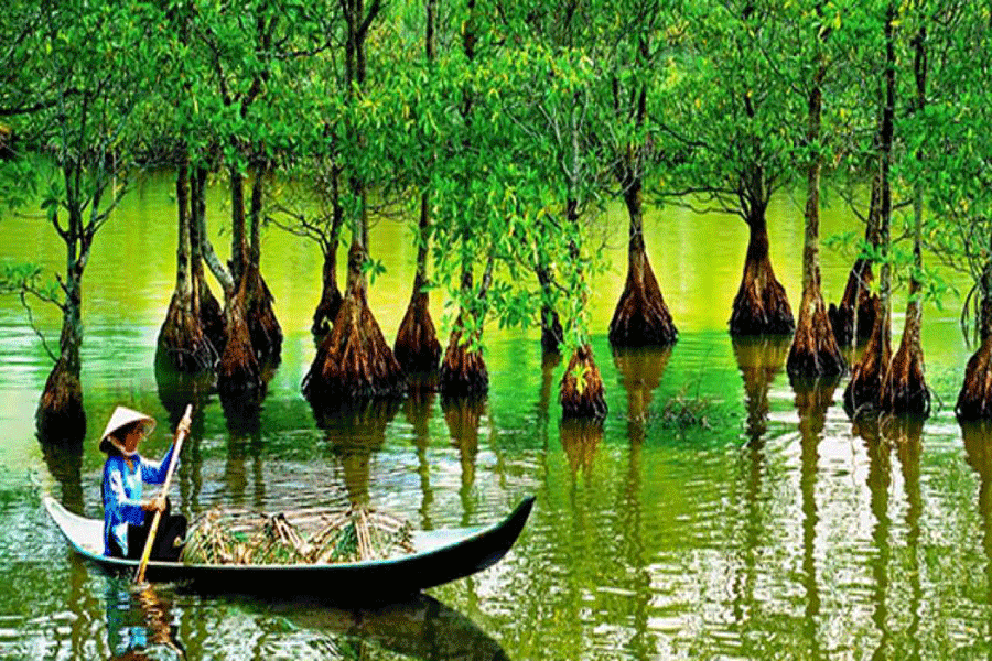 Can Gio Mangrove & Monkey Island