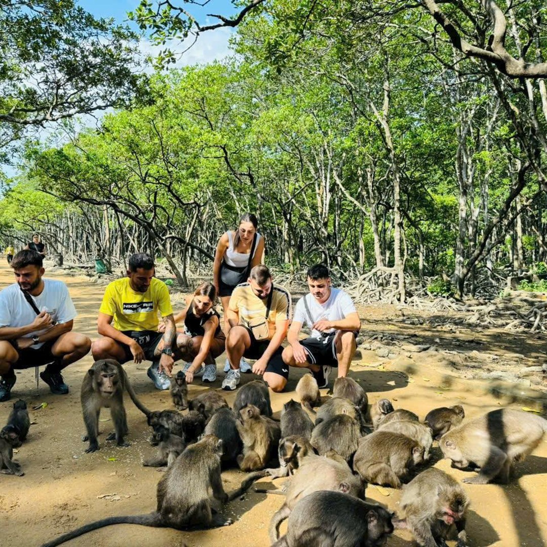 Can Gio Mangrove & Monkey Island