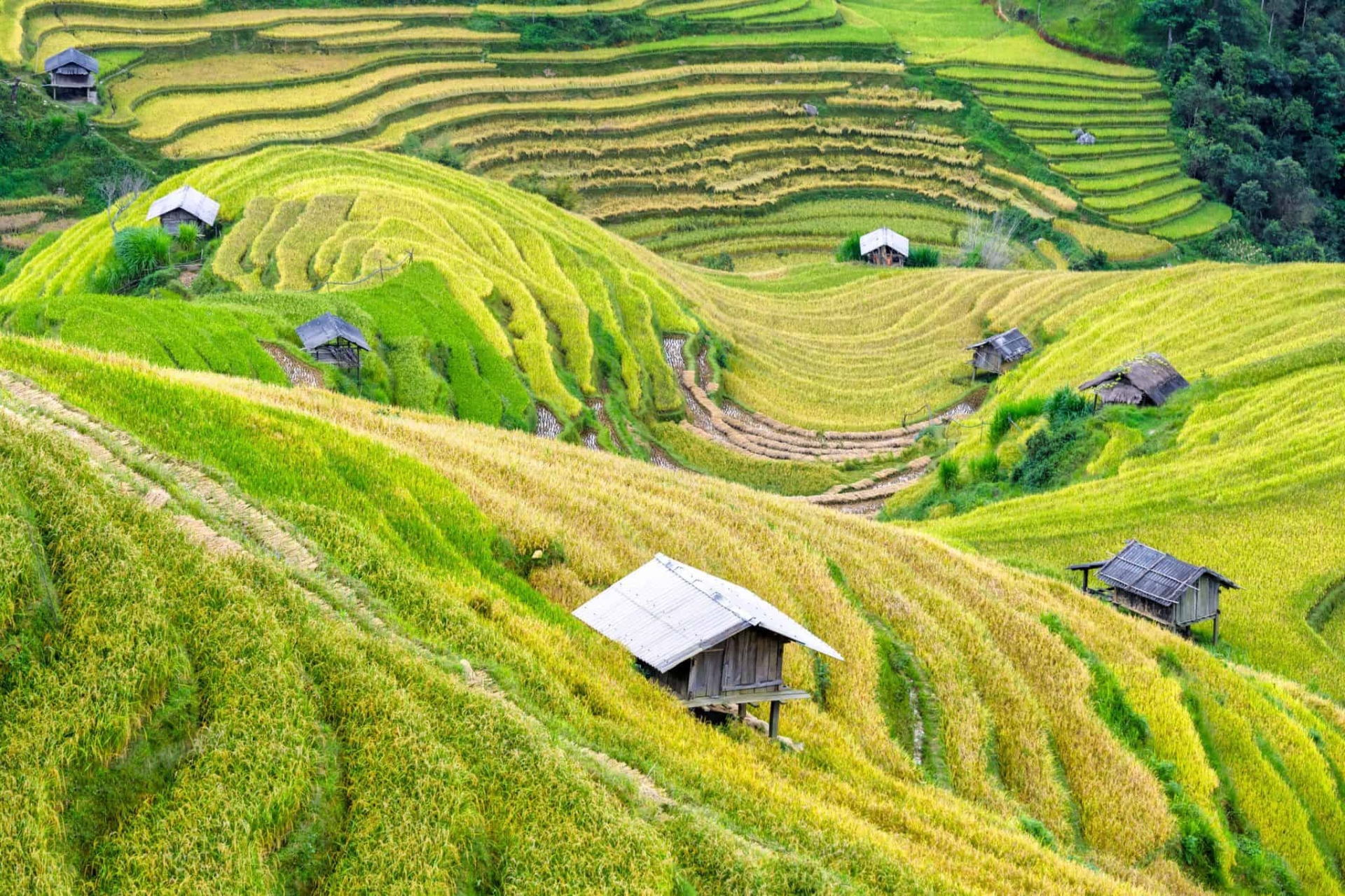 Mai Chau 1 Day