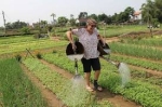 Hoi An Craft Villages With Biking .