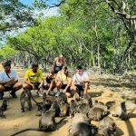 Can Gio Mangrove & Monkey Island