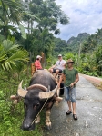 Mai Chau- Pu Luong 3D2N