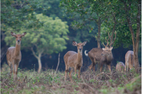 Ninh Binh 2D1N with Cuc Phuong National Park