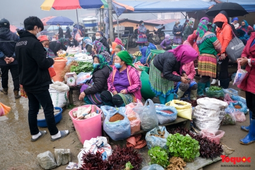 Sapa & Bac Ha Market 3D2N